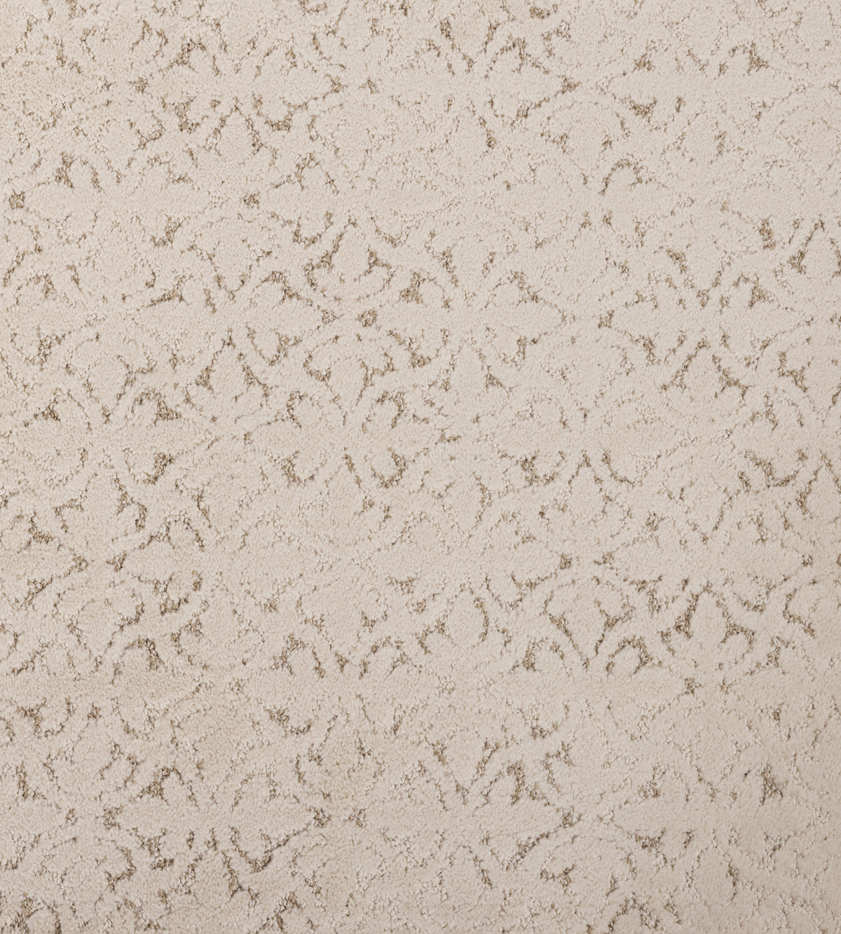 Oak Valley Impressions