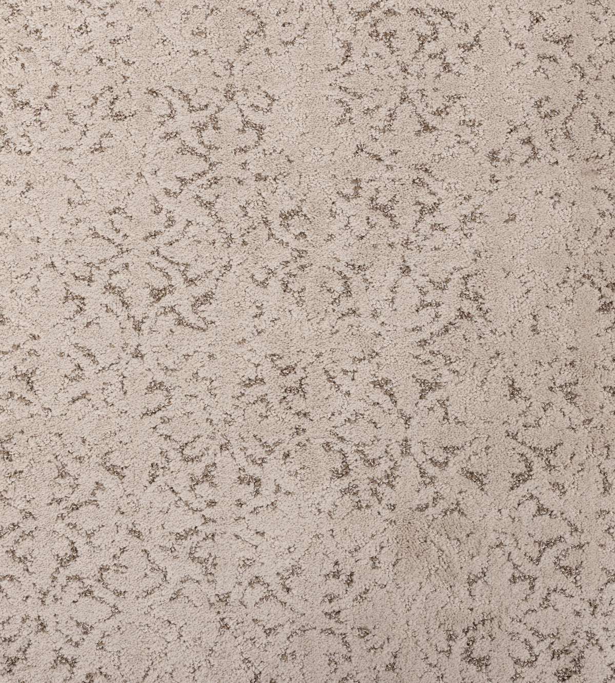 Oak Valley Impressions - Sample