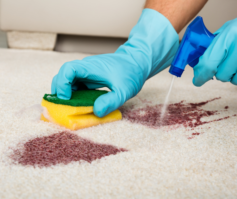 Best Carpet Cleaning Solution for Deep Stains