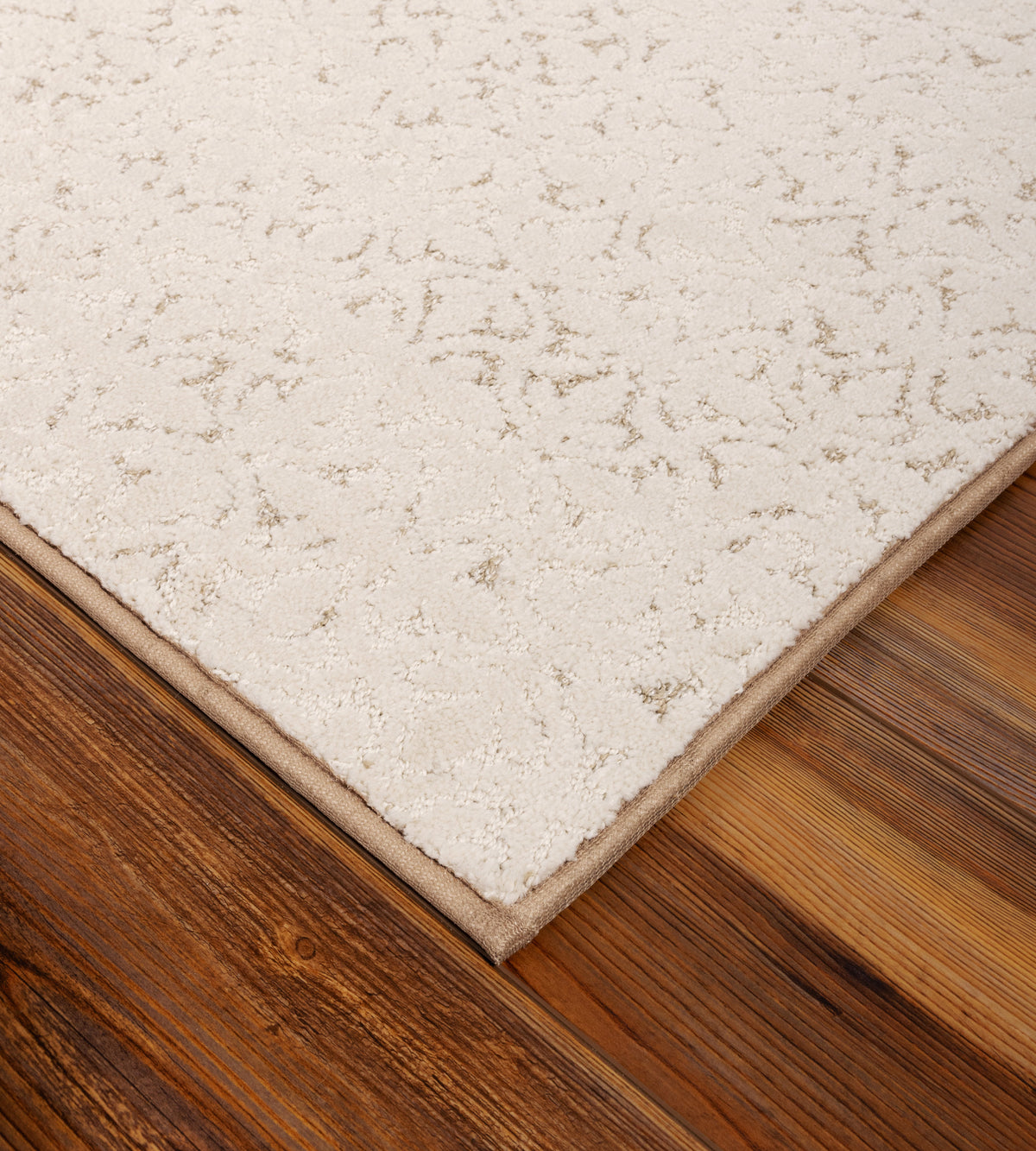 Oak Valley Impressions